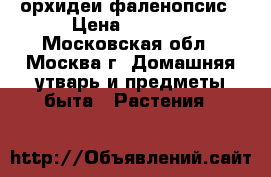 орхидеи фаленопсис › Цена ­ 1 200 - Московская обл., Москва г. Домашняя утварь и предметы быта » Растения   